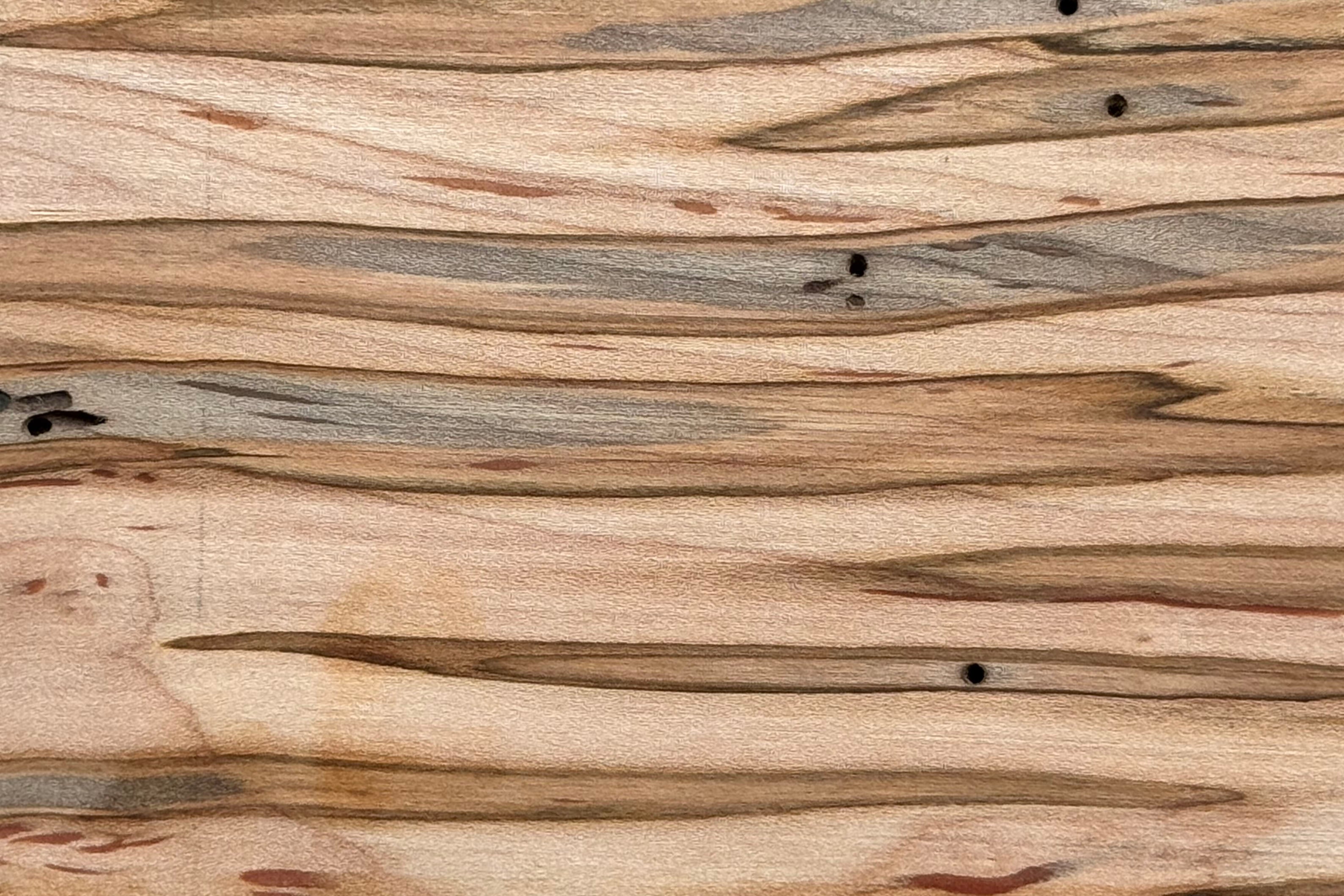 Ambrosia Maple