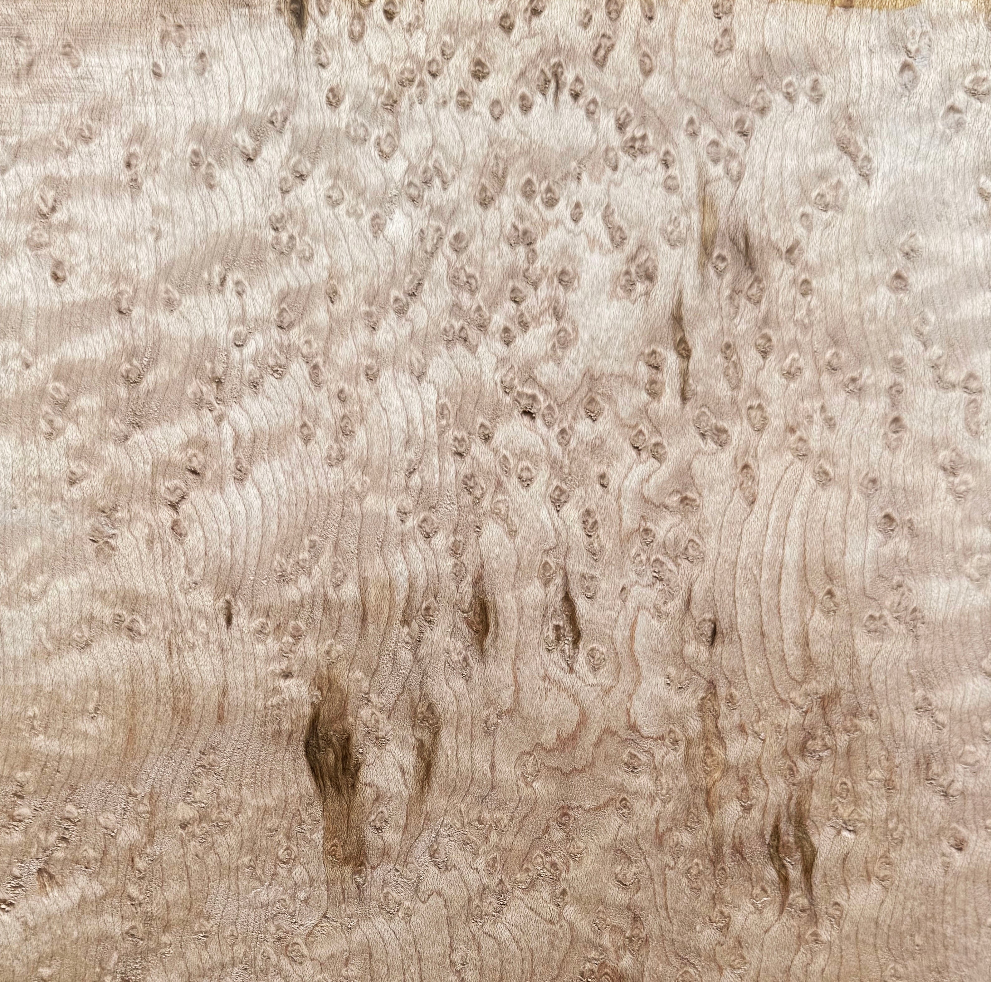Birdseye Maple