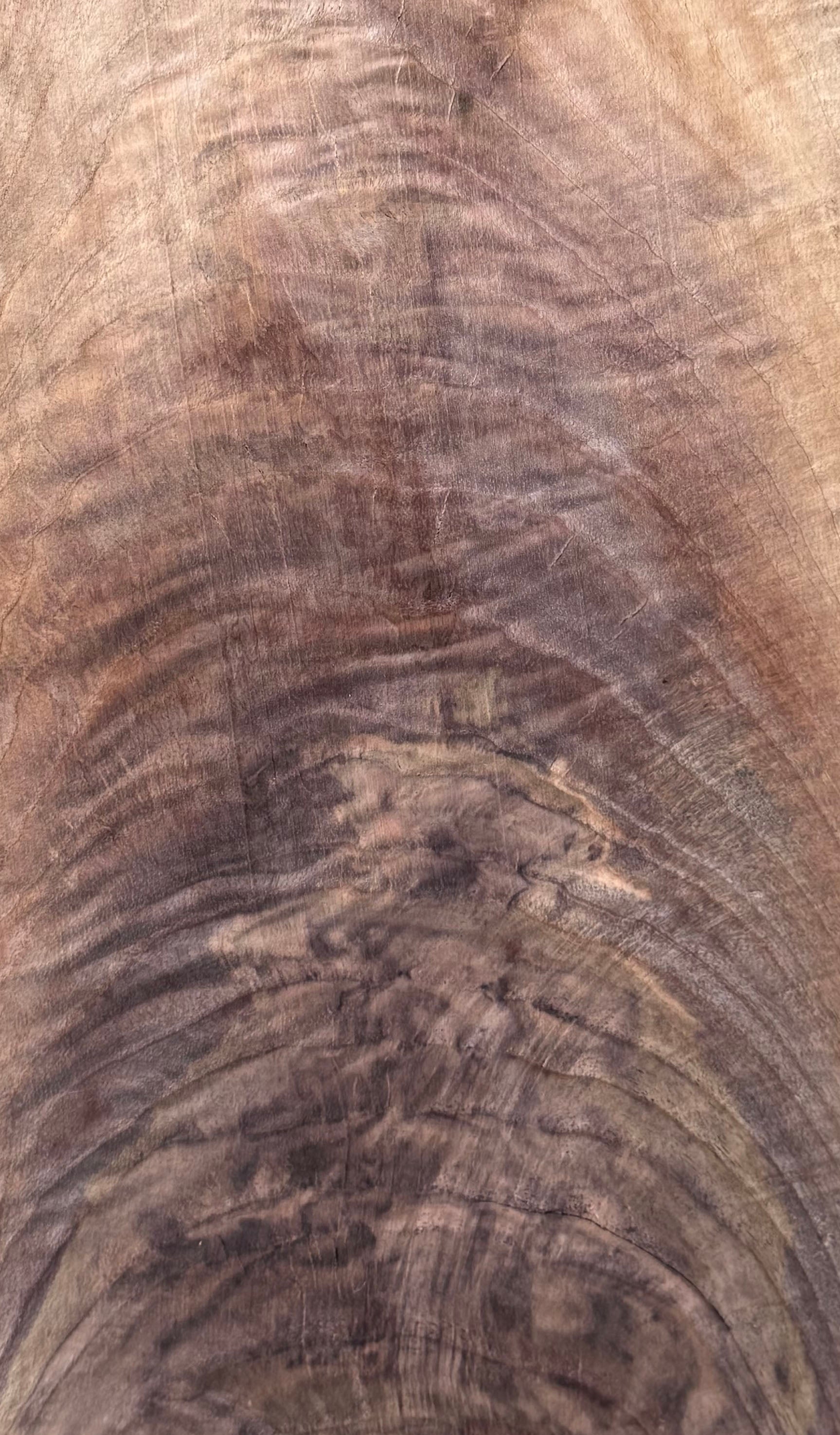Black Walnut