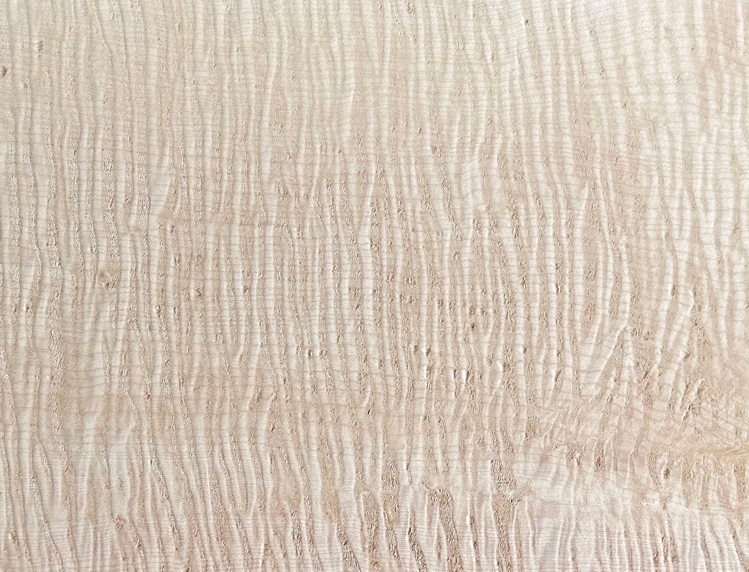Curly Maple