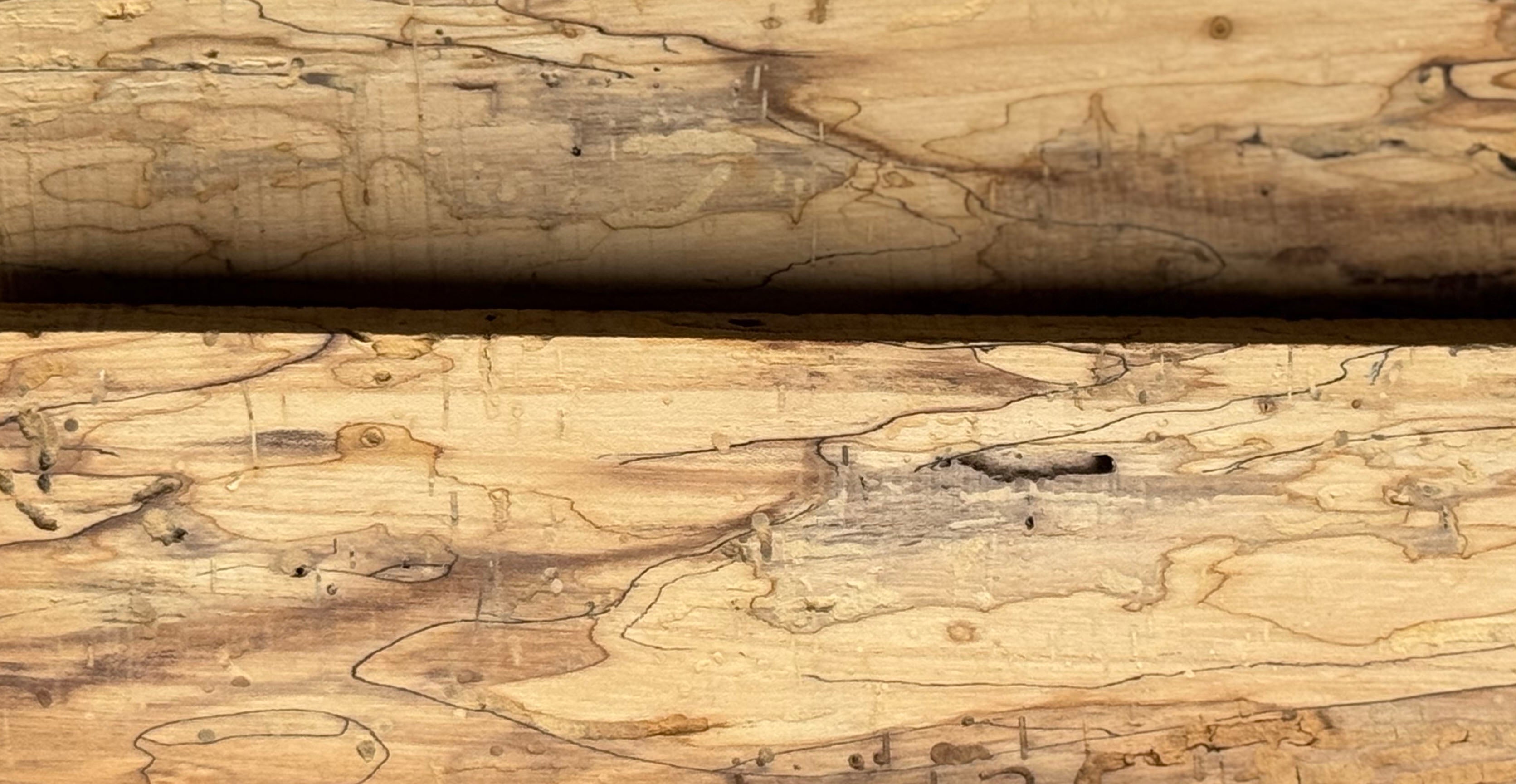 Spalted Elm
